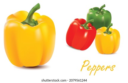 Set of three peppers. Yellow, red and green pepper. Vector illustration with white background