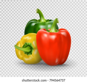 Set of three peppers. Yellow, red and green pepper. Realistic Vector illustration of paprika.