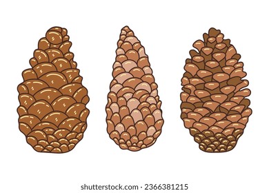 Set of three pine cones on white background brown color. Colorful isolated vector illustration doodle. Hand drawn icon or card, design element. Autumn and winter season