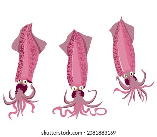 set of three pink cartoon squid