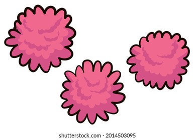 Set With Three Pink Pompom Dahlias In Cartoon Style, Isolated Over White Background.