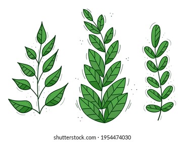 Eine Reihe von drei Pflanzen mit gestreiften Blättern. Farbige, isolierte Doodle-Objekte auf Weiß.
