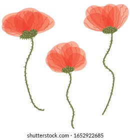 set of three poppy flower vector illustrations