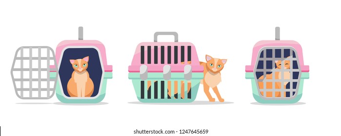 Conjunto de tres posiciones transportador manual de plástico para gatos sobre fondo blanco. Vista frontal de la portadora del gato, vista lateral, con la puerta abierta y cerrada. Ilustración vectorial de caricatura plana