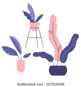 Set of three potted houseplants. Decorative elements. Flat editable vector illustration, clip art