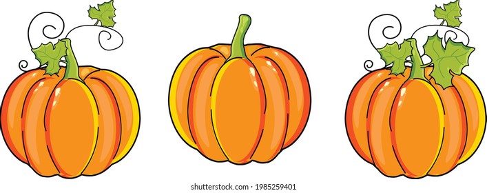 set of three pumpkins on a white background. Vector graphics. EPS format