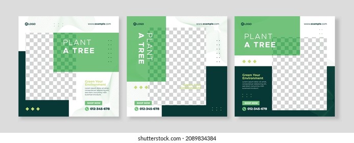 Set of three rectangle background of plant a tree of nature promotion banner social media pack template premium vector