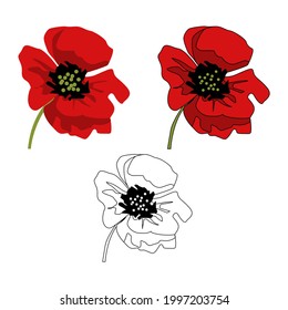Set of three red poppy coloured and an outline for colouring