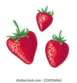 Set of three ripe red strawberries drawn in a cartoon style. Vector drawing on a white background.
