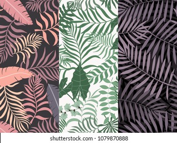 Set of three seamless floral pattern. Tropical background with palm leaves
