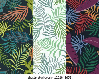 Set of three seamless floral pattern. Tropical background with palm leaves