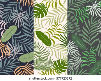 Set of three seamless floral pattern. Tropical background with palm leaves