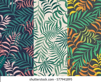 Set of three seamless floral pattern. Tropical background with palm leaves