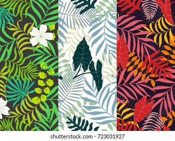 Set of three seamless floral pattern. Tropical background with palm leaves