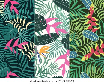 Set of three seamless floral pattern. Tropical background with palm leaves