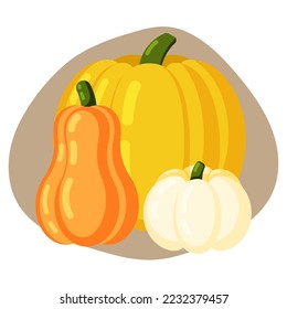 Set of three seasonal pumpkins. Autumn harvest. Flat vector illustration.