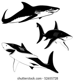 Set of three sharks