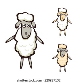 Set of three sheep isolated on white background, illustration.