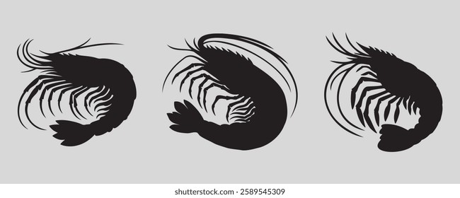 A set of three shrimp silhouettes in various poses, showcasing their curved bodies, long antennae, and delicate legs. Perfect for seafood, marine life, and culinary design projects