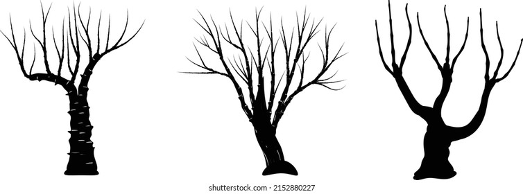 set of three silouette tree trunk.