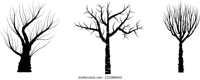 Set Of Three Silouette Tree Trunk.