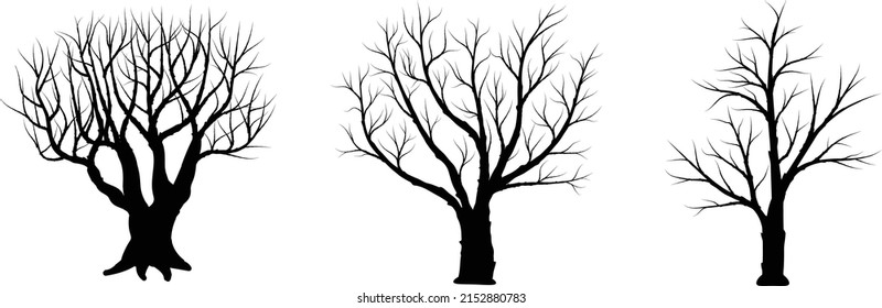 set of three silouette tree trunk.