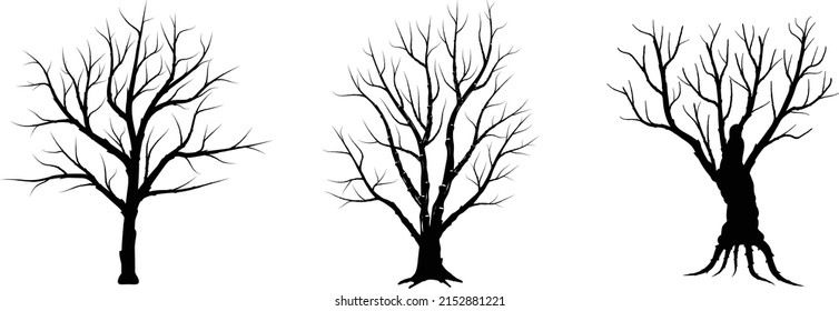 2,172 Tree silouette Images, Stock Photos & Vectors | Shutterstock