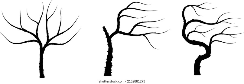 set of three silouette tree trunk.