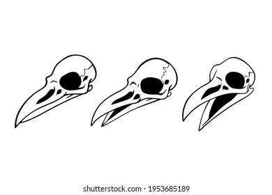 set of three simple bird skulls