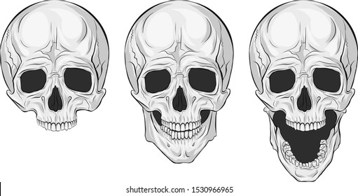 Set of three skulls. Symbol of death and Halloween. White bones. Jaws, teeth empty sockets and a hole in the nose. Open and closed nose. Isolated vector.