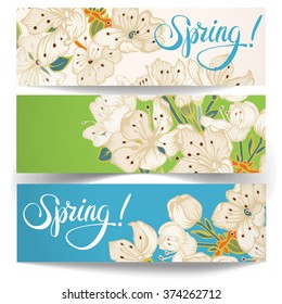 The set of three spring banners with flowers Apple tree. Vector illustration.