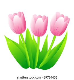 set of three spring flowers - tulips
