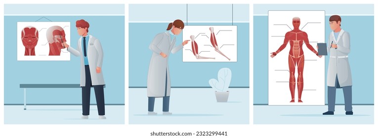 Set of three square compositions with doodle characters of medical students learning different types of mussels vector illustration