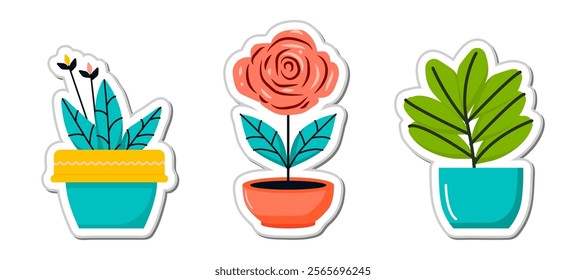A set of three stickers featuring  stylish plants in pots. Minimalist and hand drawn  botanical set