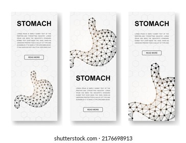 Conjunto de tres banners verticales poligonales Stomach. 3d Anatomía de órganos símbolos de polos bajos con puntos conectados. Ilustración vertical para el diseño de la página principal.