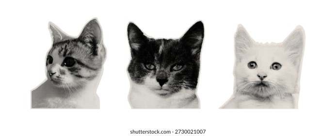 Conjunto de tres cabezas de gato estilizadas en estilo de patrón de punto de semitono blanco y negro. Medio tono, efecto de impresión vintage, textura punteada, estilo retro, collage, fuerte contraste. Retrato lindo del gato conveniente para el cartel