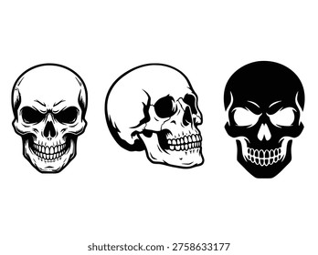 Set of Three Stylized Human Skulls Illustration