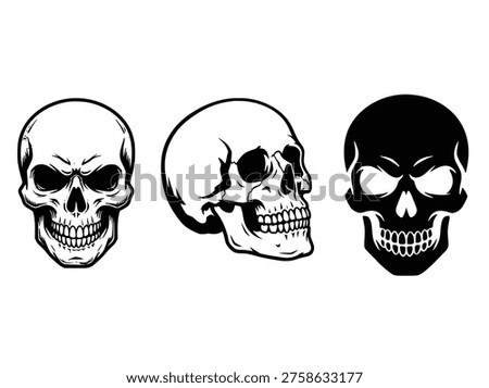 Set of Three Stylized Human Skulls Illustration