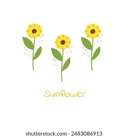 Set of three sunflowers. vector art.