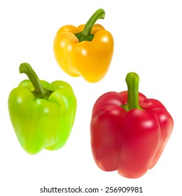 Set of three sweet pepper. Vector.