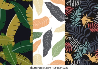 Set of three tropical backgrounds with palm leaves. Seamless floral patterns. Summer vector illustrations. Flat jungle prints