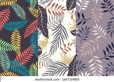 Conjunto de tres telares tropicales con hojas de palma. Modalidades florales sin inconvenientes. Ilustraciones vectoriales de verano. Impresiones de selva plana