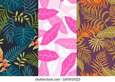 Conjunto de tres telares tropicales con hojas de palma. Modalidades florales sin inconvenientes. Ilustraciones vectoriales de verano. Impresiones de selva plana