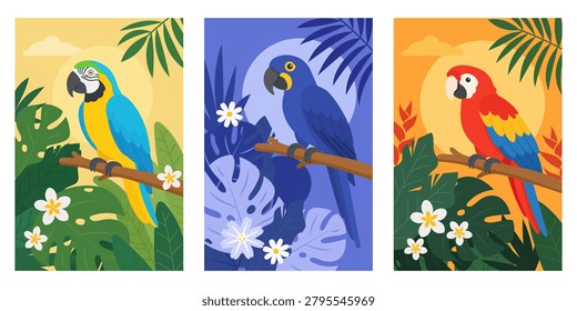 Set of three tropical macaw posters in vibrant jungle colors. Flat vector bird illustrations for nursery decor, wall art and nature themes.