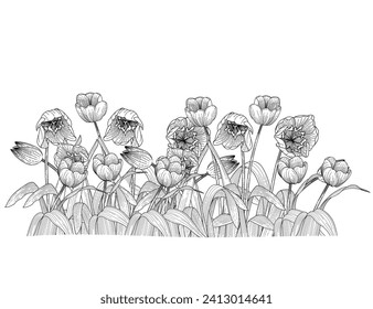 Conjunto de tres boceto dibujado a mano de flor tulipano para la ilustración vectorial del libro de dibujo aislado en fondo blanco