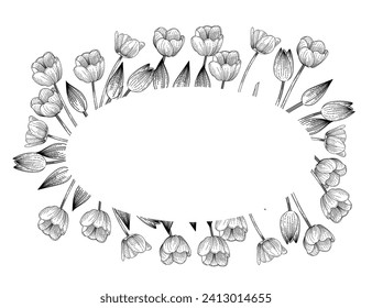 Set of three tulips flower hand drawn sketch for drawing book vector illustration isolated on white background