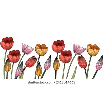 Set of three tulips flower hand drawn colorful sketch for drawing book vector illustration isolated on white background