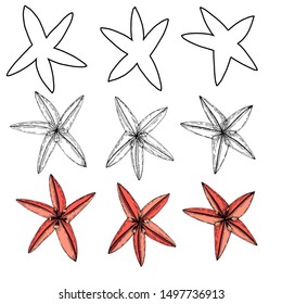 Set of three types of starfish, isolated objects, engraving, contour, vector