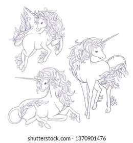 Set of three  unicorns isolated on white  background. Vector illustration. Outline drawing. 