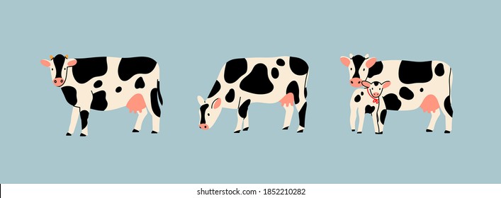 Set of three various cute Cows. Black and white colors. Hand drawn colored trendy Vector illustrations. Funny characters. Cartoon style. Isolated on blue background